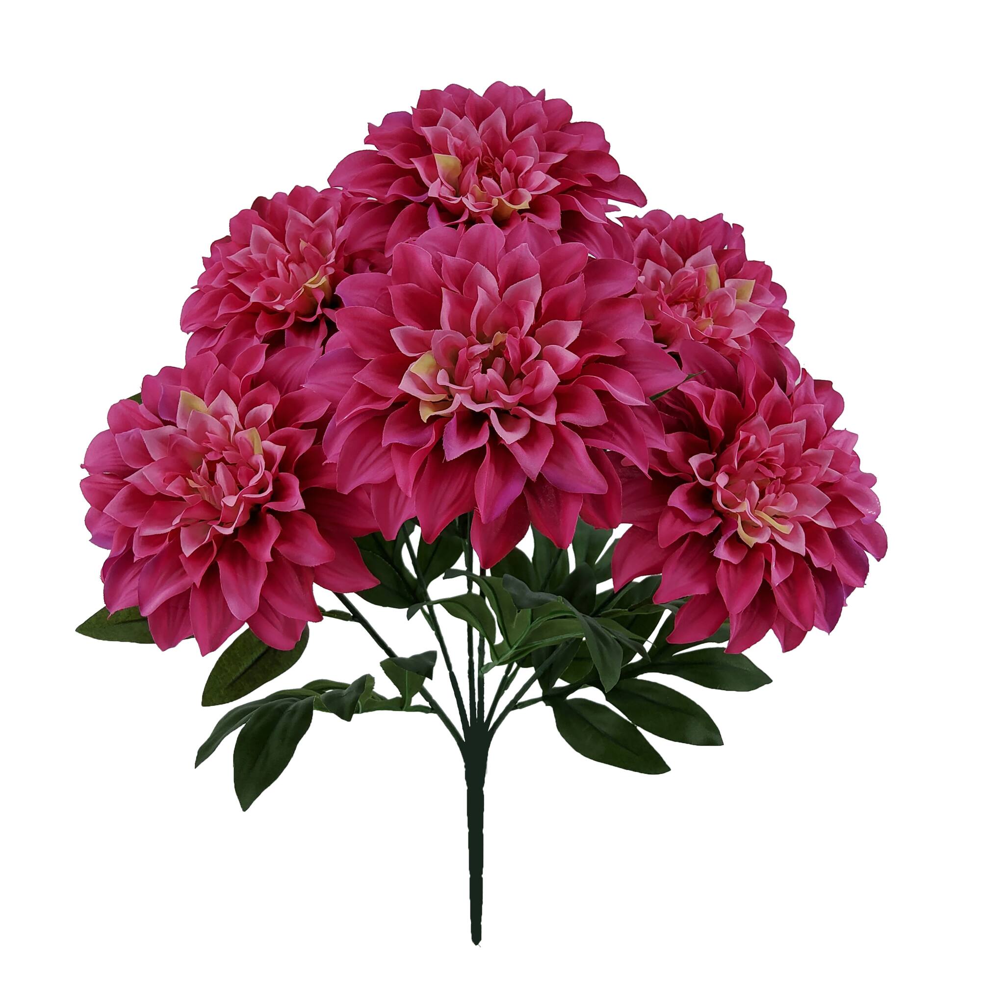 19" Dahlia Bush by Ashland